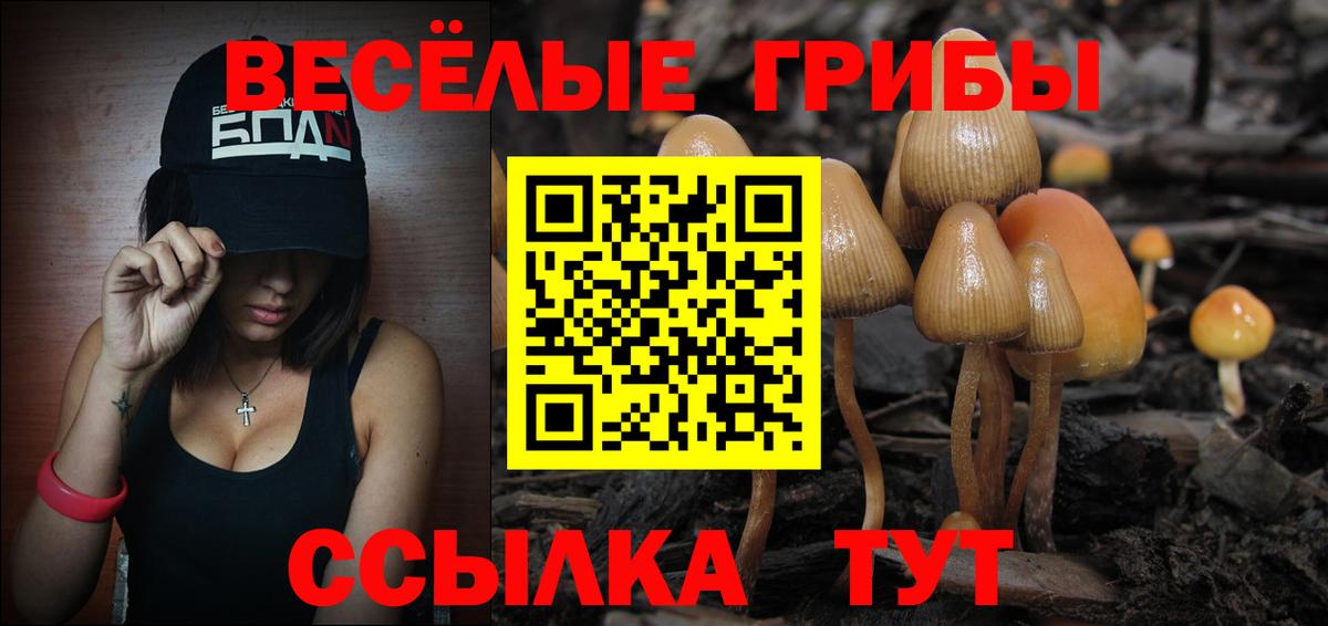 Псилоцибиновые грибы мухоморы Самара